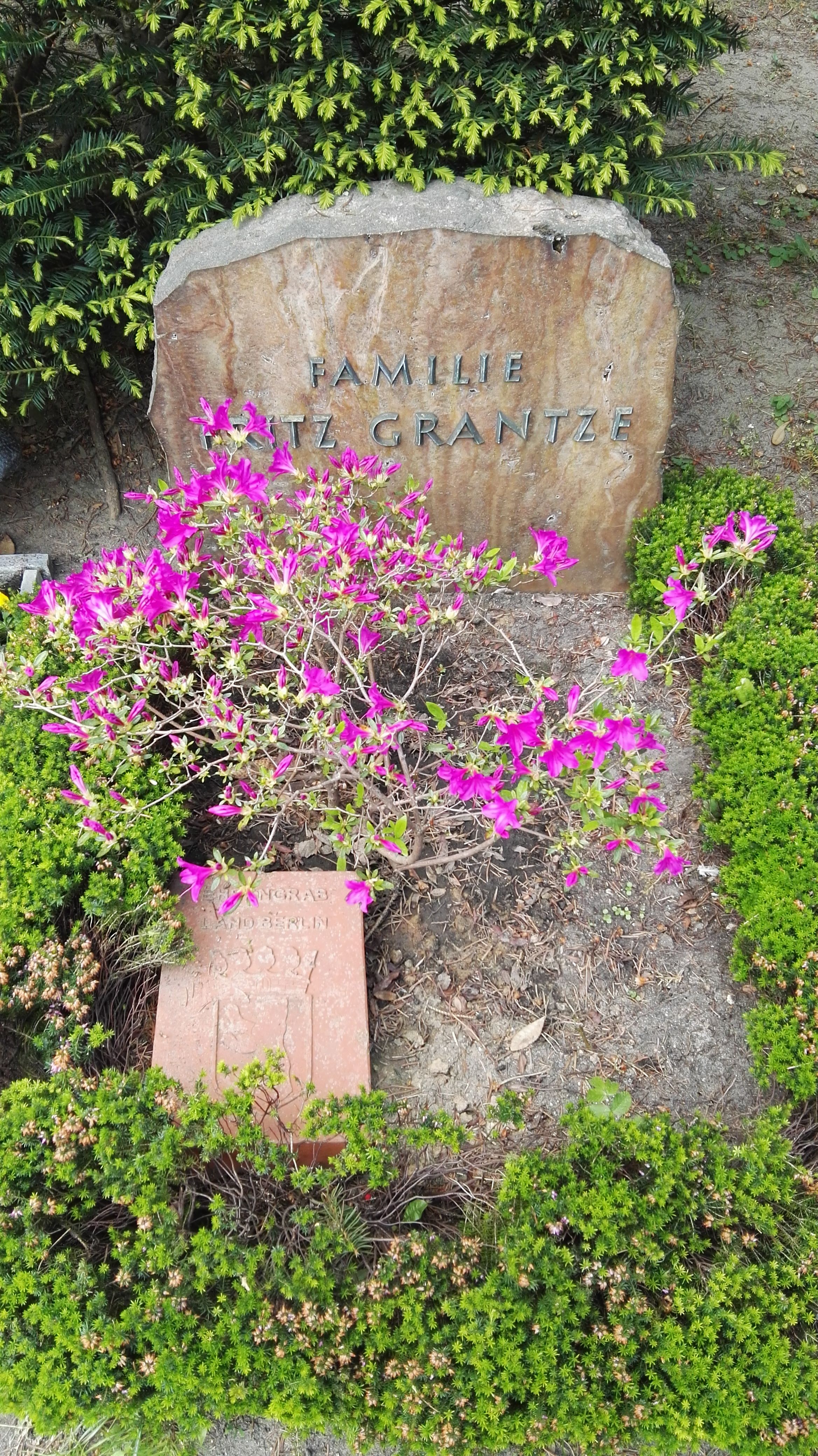 Ehrengrab von Fritz Grantze auf dem Heidefriedhof Berlin